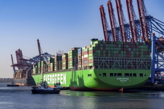 Container ship Ever Gifted, arriving at the port of Hamburg, Waltershofer Hafen, HHLA Container