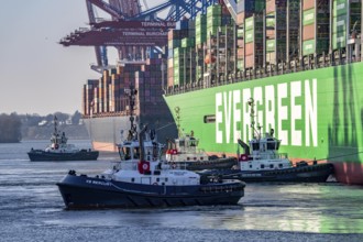 Container ship Ever Gifted, arriving at the port of Hamburg, Waltershofer Hafen, HHLA Container