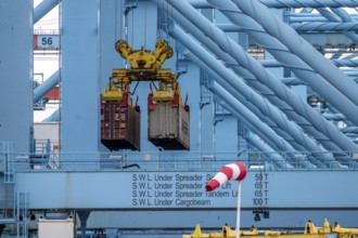 APM Container Terminal, containers being loaded by crane, seaport of Rotterdam, Maasvlakte 2