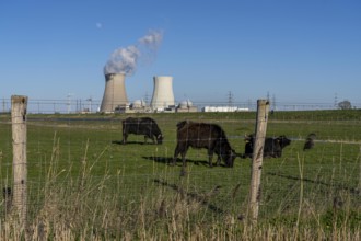 The Doel nuclear power plant on the Scheldt, one of two nuclear power plants in Belgium, consists