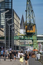 The Crane Houses in Cologne South, on the Rhine, at the old customs harbour, high-rise residential