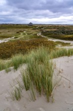 North Sea island of Spiekeroog, East Frisia, Lower Saxony, Germany, Dune landscape on the west