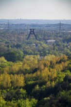 View from the Hoheward spoil tip to the south towards Wanne-Eickel, wooded areas, headframe of the