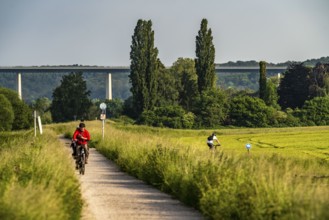 Mendener Ruhraue, cycle path, footpath, view to the east, towards Mintarder Ruhrtalbrücke, Mülheim