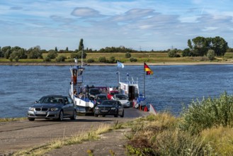 Car ferry between Duisburg-Walsum and Orsoy, North Rhine-Westphalia, Germany, Europe