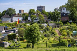 Allotment garden site allotment garden association Haus-Knipp e.V, in Duisburg-Beeckerwerth, on the