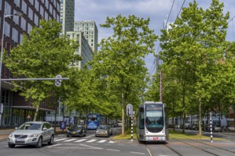 Urban greening, inner-city street Laan op Zuid, in Rotterdam's Feijenoord district, 4 lanes, 2 tram