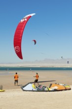 Kitesurfer kite surfer kite surfers training making course course on beach in front of Red Sea bay,