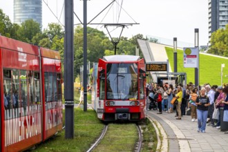 Local transport, Rheinbahn trams, Schadowstraße stop, North Rhine-Westphalia, Germany, Europe