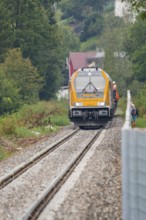 A yellow train runs on rails through a wooded landscape, surrounded by trees and accompanied by