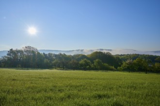 Sunrise over a green meadow, surrounded by trees with mountains in the background, fog hovers near