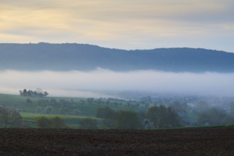 Morning fog over green hills and fields with a gentle sunrise in the background, spring,