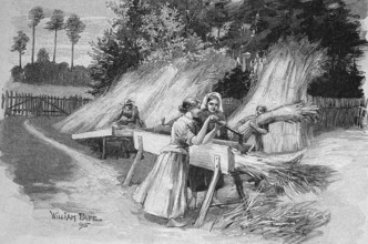 The cutting of shields for processing, in the Havel area in Germany, in 1880, Historical, digital