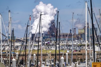 Seaport Marina IJmuiden, marina, sailing boats, yachts, behind the Tata Steel steel and smelting