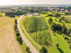 Aerial view of an urban environment with green fields and streets lined with trees, Hopfengarten,