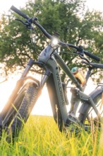 E-bike in a meadow in the evening light, foreground shows the grass, trees in the background,