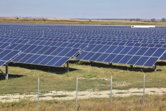 Solar fields near Giurgiu in the south of the country, Romania, Europe