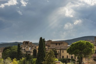 Old town centre, village, light mood, cypress (Cupressus), olive, olive tree (Olea europaea),