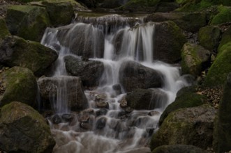 Mountain stream, torrent, waterfall, Merano, Meran, South Tyrol, Autonomous Province of Bolzano,