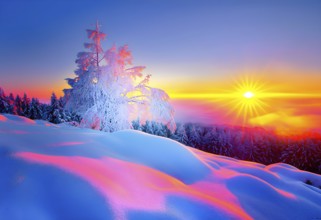 Serene winter landscape with a snow covered tree and a vibrant sunrise, AI generated