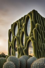 Building with a facade inspired by the skin of a cactus showcasing natural methods of heat