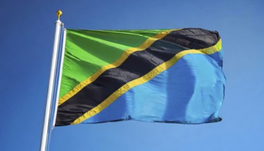 Flags, the national flag of Tanzania flutters in the wind