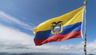 Flags, the national flag of Ecuador flutters in the wind