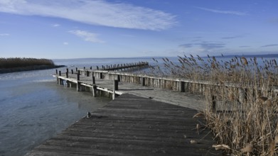 Frozen lake in winter, jetty, Lake Neusiedl, Weiden am See, Burgenland, Austria, Europe