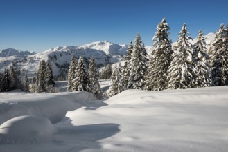 Snow-covered mountain landscape, Damüls, Bregenzerwald, Vorarlberg, Austria, Europe