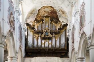 Baroque church, organ, Fridolinsmünster, Church of St Fridolin, Bad Säckingen, Upper Rhine, Rhine,