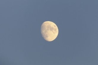 Bright moon in the blue sky on a clear and calm night, Upper Palatinate