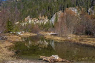 Isar valley nature conservancy area. The wild Isar river flows through its gravel bed past