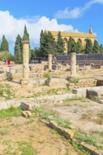 Roman remains of Pollentia, Alcudia, Mallorca, Balearic Islands, Spain, Europe