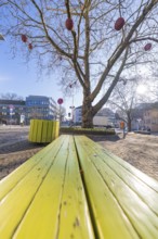 Oblique perspective of a green bench under a tree in sunshine, Sindelfingen, Böblingen district,