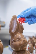 A hand with a blue glove decorates a chocolate bunny with a red flower, Easter baking and chocolate