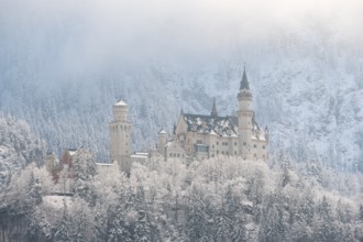 Snow-covered castle in a winter forest, surrounded by misty mountains and frosty weather,