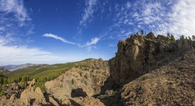 View from El Campanario to the summit of Pico de las Nieves, Gran Canaria, Canary Islands, Spain,