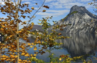 Autumn at the Lake Traun, view to the Traunstein summit, Traunkirchen, Salzkammergut, Austria,