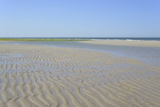 Beach at low tide with wave-like structure, current ripples in wet sand, blue sky, North Sea,