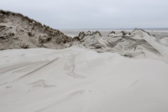 Dune landscape, Amrum, Schleswig-Holstein, Germany, Europe