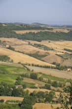 View from Montepulciano into a typical Tuscan landscape in Val d'Orcia with hills, trees, fields,