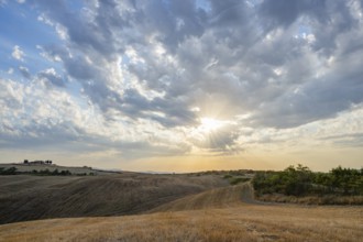 Typical Tuscan landscape in Val d'Orcia with hills, trees, fields, farmhouses and cypresses in