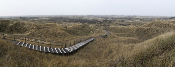 Dune landscape, Panorama, Amrum, Schleswig-Holstein, Germany, Europe