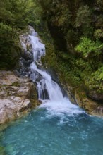 A high waterfall flows into a blue pool through dense, green vegetation, summer, Milford Sound, Te