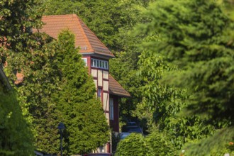 Seifert Family Winery, Radebeul Weinhänge, Radebeul, Saxony, Germany, Europe