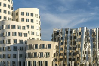 The Neue Zollhof with the Gehry buildings by architect and designer Frank Gehry in the Media