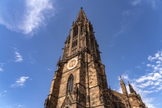 Freiburg Minster, Freiburg im Breisgau, Black Forest, Baden-Württemberg, Germany, Europe