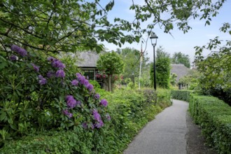 Idyllic garden path surrounded by flowering shrubs and rich vegetation, Giethoorn, municipality of