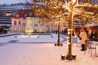 Wackerbarth's winter magic, castle and vineyards with Christmas lights and snow, Radebeul, Saxony,