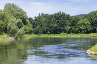 River Weser near Bursfelde, Landscape, Hann.Münden, Lower Saxony, Germany, Europe